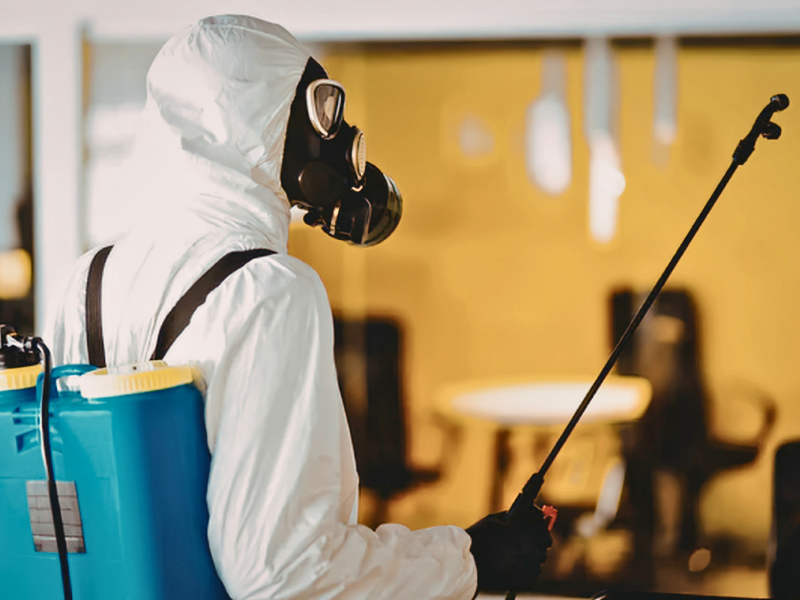 desinsectisation professionnelle